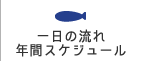 1日の流れ・年間スケジュール